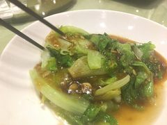 蚝油生菜-火龙堂·风味民间菜(文一路店)