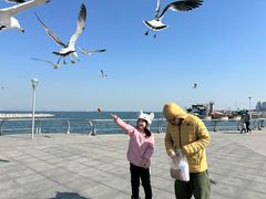 -东港音乐喷泉广场