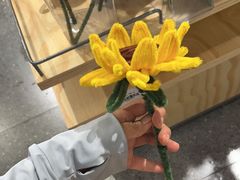 -眉州东坡(鸿坤店)