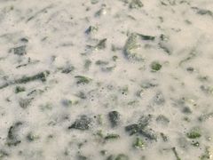 -晓雯人家