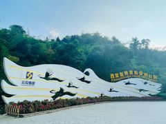 -西双版纳原始森林公园