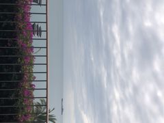-日落吧·海景咖啡厅·餐酒吧·鸡尾酒·下午茶·乐队表演·浪漫夕阳·三亚文华东方酒店
