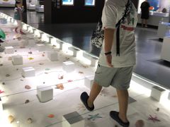 -贝壳王国博物馆