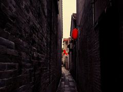 -针姨