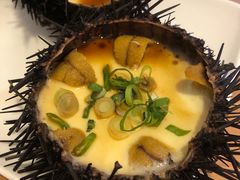 海胆蒸蛋-海胆小馆(春柳店)