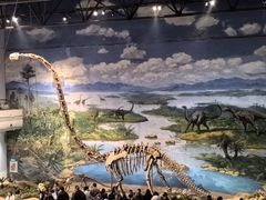 -自贡恐龙博物馆