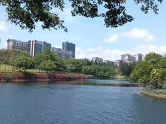 -深圳龙潭公园