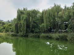 -城市运动公园(未央区)