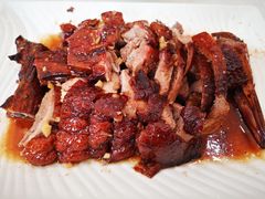 荔枝柴烧鹅-胜记烧鹅美食