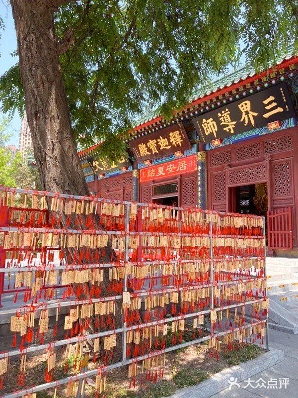 天津大悲禅院图片