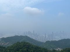 -大金鹰园