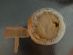 豆乳蛋挞-心乐生活新鲜屋(星海广场店)