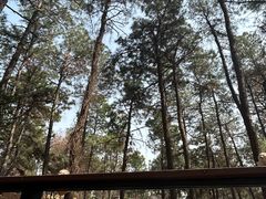 -句容茅山景区