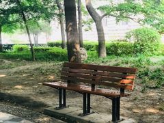 -中国中医科学院针灸医院