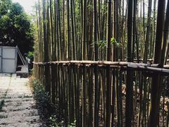 景点-第一山景区