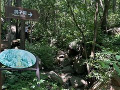 -大岭沟猕猴桃谷风景区