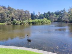 -墨尔本皇家植物园