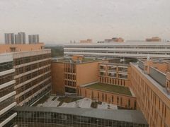 -佛山市妇幼保健院(新城院区)