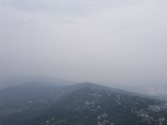 -大金鹰园