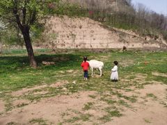 -渭南桃花源民俗文化园