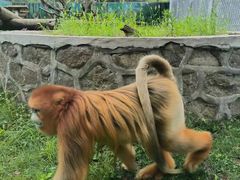-西安秦岭野生动物园