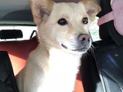 -派特宠物医院(圆融广场店)