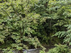 -龙苍沟森林公园