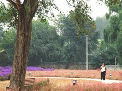 -圆明园遗址公园-藻园门售票处