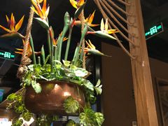 -云海肴·汽锅鸡·云南代表菜(天津国金汇店)