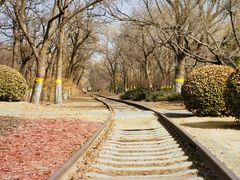 -永定河休闲森林公园