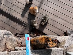 -汉宫汤泉汗蒸洗浴(五四广场店)