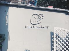 -小草莓·Little Strawberry