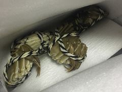 -小陆莲花蟹园农家乐(莲花岛店)