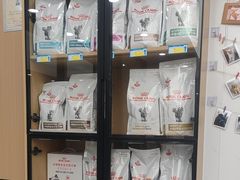 -瑞派康怡24h宠物医院·犬猫医疗中心·微创绝育(瑞景分院)