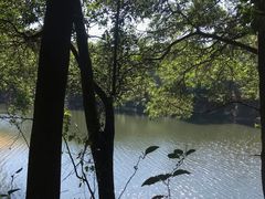 -红花湖景区