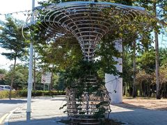 -中国沙滩排球队三亚训练基地