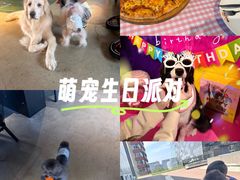 -百好乐宠物友好餐厅(朝外大街店)