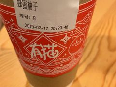-有猫主题·治愈系猫咖(曾厝垵店)