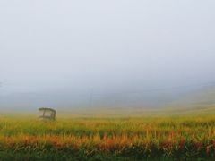 -紫鹊界梯田景区
