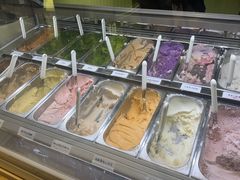 -鹤茶野所(上海首店)