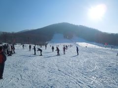 -玉泉威虎山森林公园