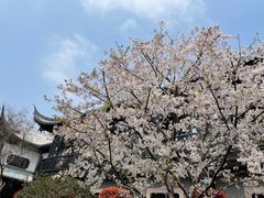-上海皇廷花园酒店·御宴中餐厅