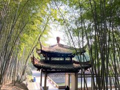 -峙山公园