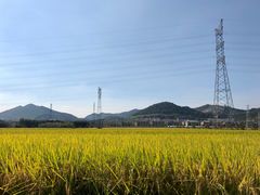 -李东农庄(中南百草园地标店)