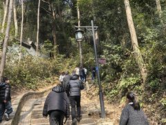 -灵顺寺