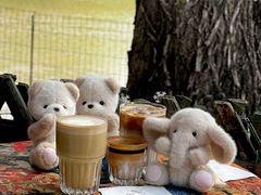 -三忘湖 SWANSEEN(柳荫公园店)