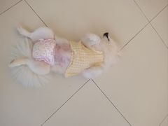 -怪兽屋·羊驼·猫咖·狗咖(俊华广场店)