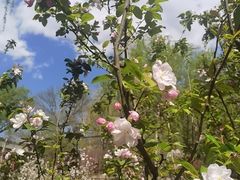 -元大都城垣遗址公园