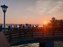 -宝安西湾红树林湿地公园