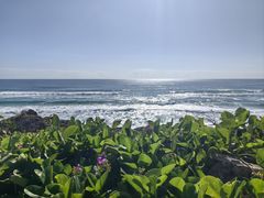 -黄金海岸